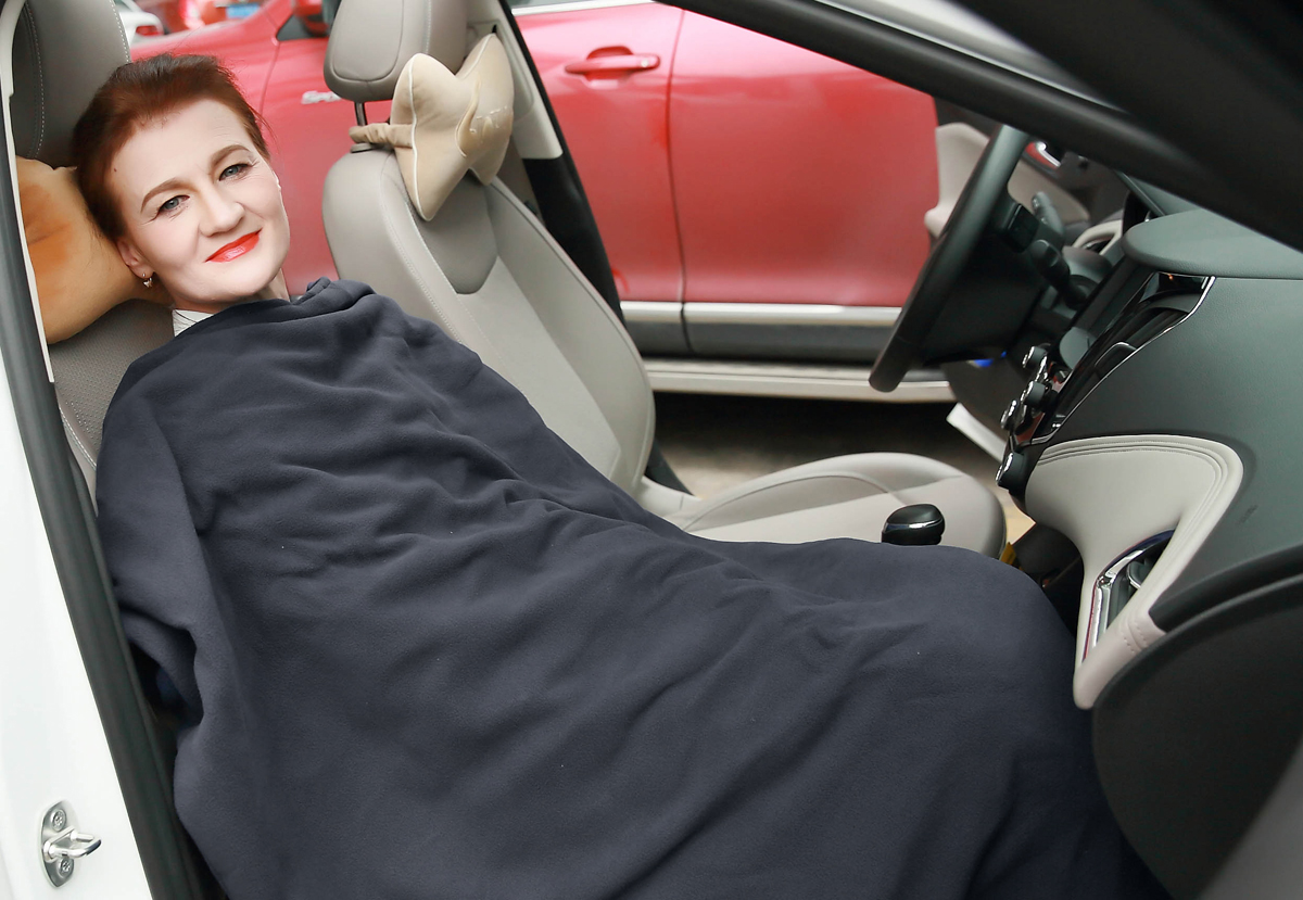 SH4210G Deluxe Electric 12 Volt Polar Fleece Heated Travel Car Blanket